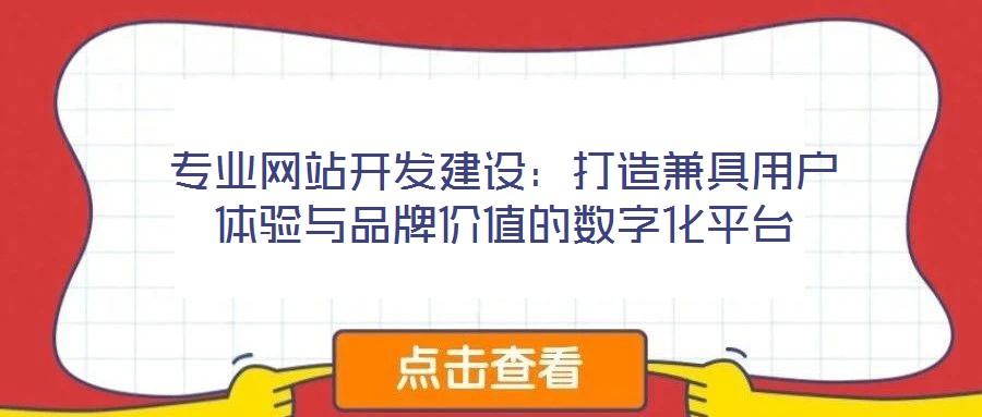專業(yè)網(wǎng)站開發(fā)建設:打造兼具用戶體驗與品牌價值的數(shù)字化平臺