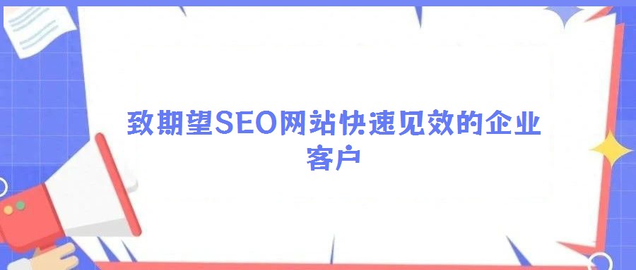 致期望SEO網站快速見效的企業客戶